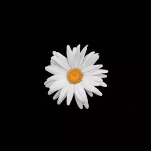 网曝门事件xX视频xX丅Ⅴ一区
